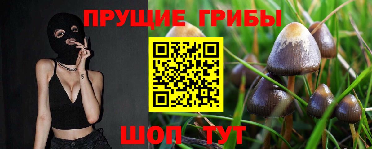 Галлюциногенные грибы Psilocybine cubensis  даркнет сайт  Вход с VPN  Углич  Псилоцибиновые грибы мухоморы 